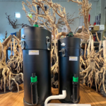 Lọc Chế Cho Hồ Cá, Hồ Thuỷ Sinh