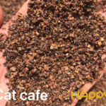 Cát Cafe