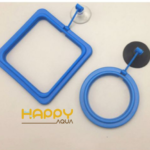 Vòng đựng thức ăn cho cá