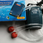 Máy sủi oxy 2 vòi, dây sủi, cục sủi giá rẻ