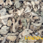 San Hô Vụn (1 ký ) San Hô Vụn (1 ký )
