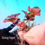 Súng Tiger Mini Súng Tiger Mini