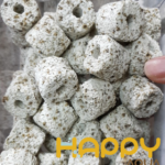 Sứ Trụ Muối Tiêu