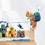 Đồ Chơi Mèo Balo bằng nhựa Đựng Dụng Cụ Thuỷ Sinh